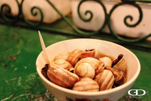 morocco_snails